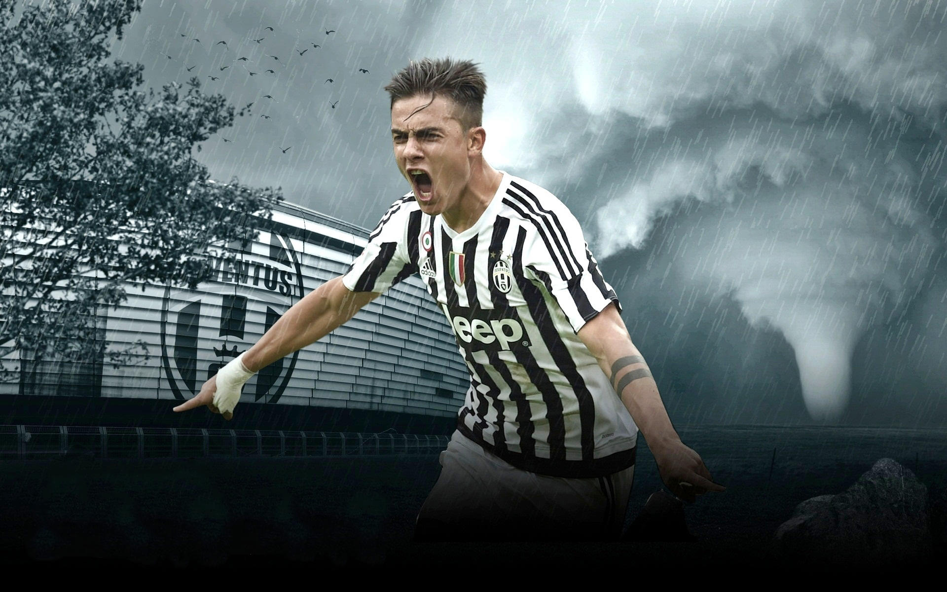 官方：川崎前锋正式签下东京绿茵主力中卫谷口荣斗（官宣：川崎前锋从东京绿茵引进主力中卫谷口荣斗）