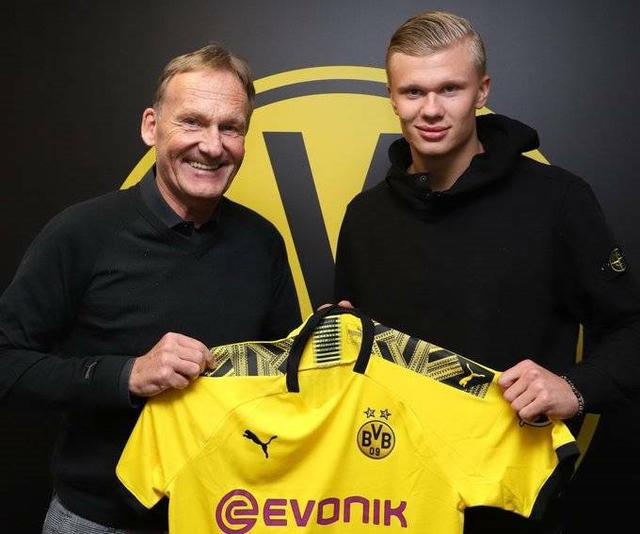 世界杯G组抽签出炉：比利时、伊朗、埃及、新西兰（世界杯G组签位揭晓：比利时与伊朗、埃及、新西兰同组）